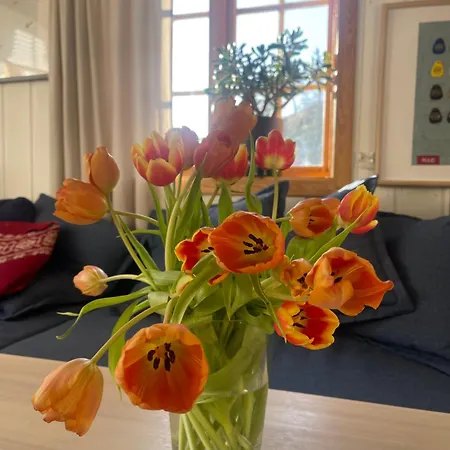 Lillevilla I Koseligste Gate Dom wakacyjny Tvedestrand